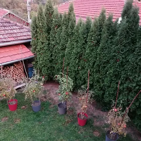 Apartment Mila Paklestica